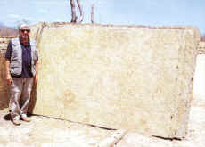 Morisca 005 - Placa grande.jpg (164156 bytes)